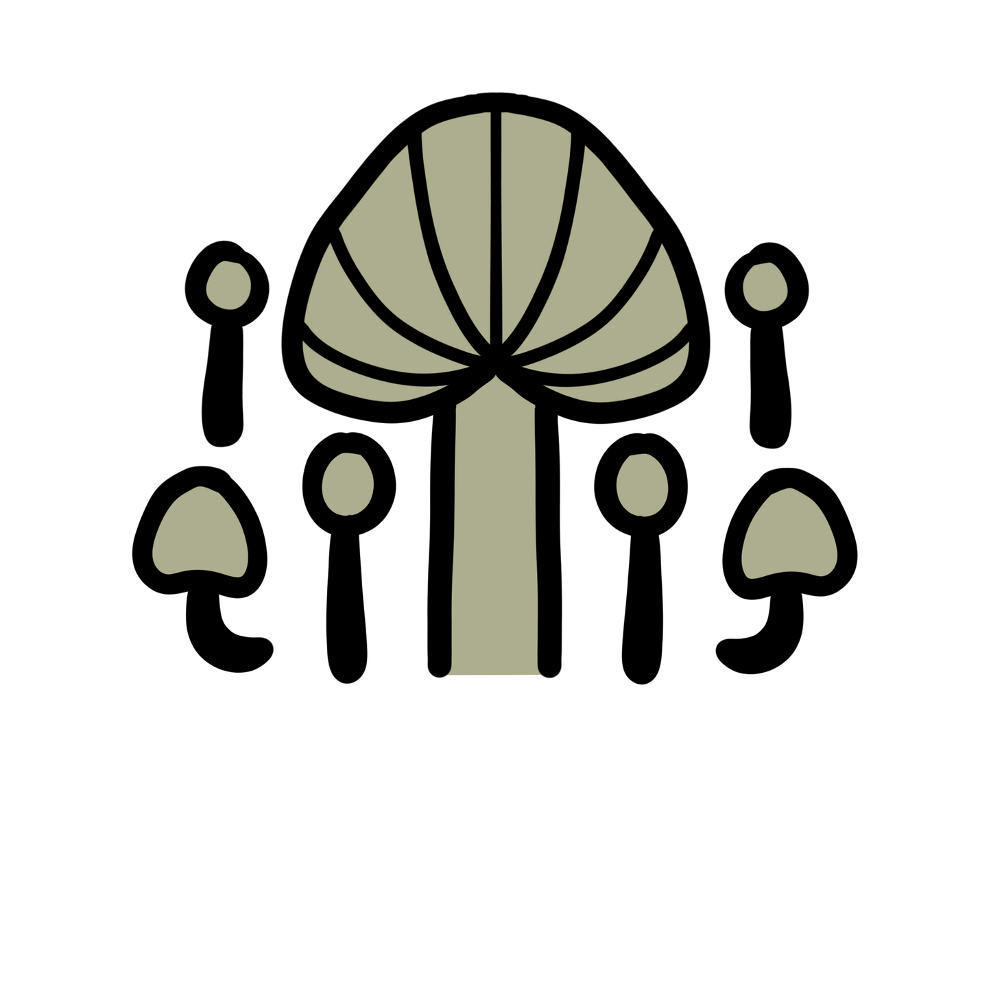 Dried Lion's mane mushroom