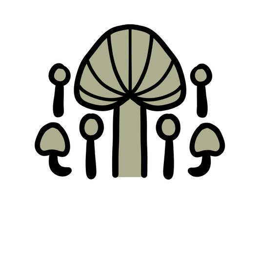 Dried Lion's mane mushroom